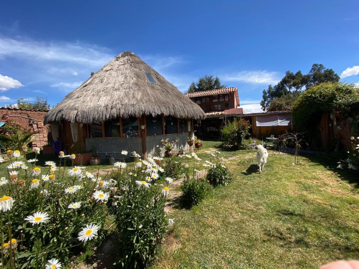 Casa De La Gringa Mountain House Bed & Breakfast Cusco Ngoại thất bức ảnh