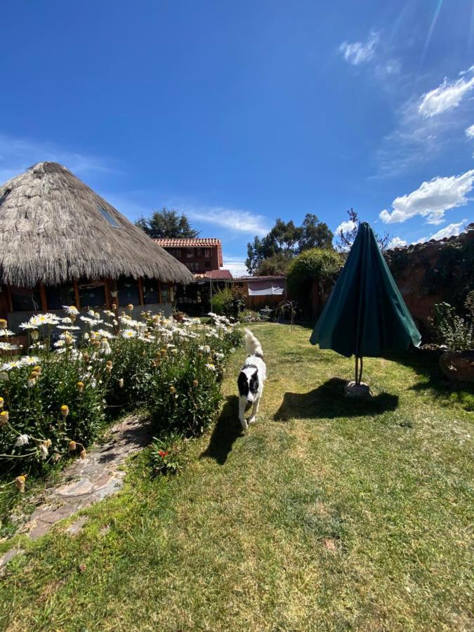 Casa De La Gringa Mountain House Bed & Breakfast Cusco Ngoại thất bức ảnh